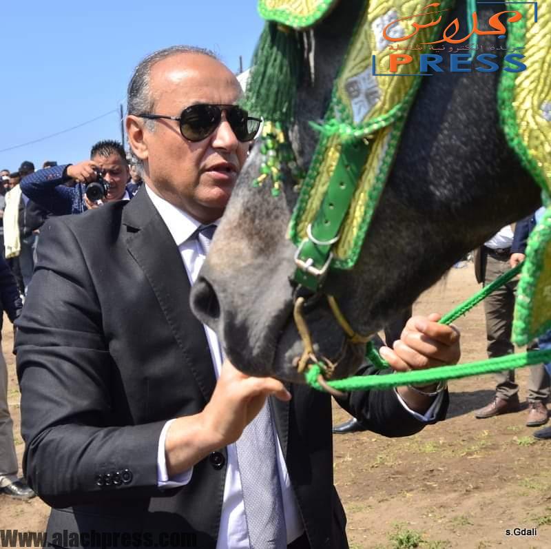 صورة بالفيديو عامل بن سليمان يختتم فعاليات مهرجان الفضالات للتبوريدة بحضور وفد رسمي
