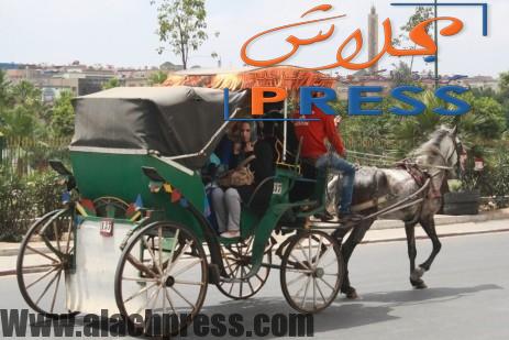 صورة خطير .. الكوتشيات يفرضون نظامهم العام ببن سليمان