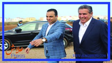 صورة استراتيجية غابوية ذات بعد تنموي مع نظام أساسي فاقد للمهنية