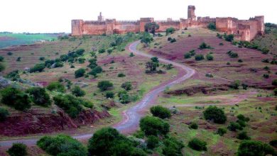 صورة منطقة بولعوان هدية أم الربيع
