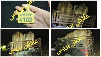 صورة الدرك يفككك عصابة “فراقشية” ويبحث عن الضحايا في بن سليمان