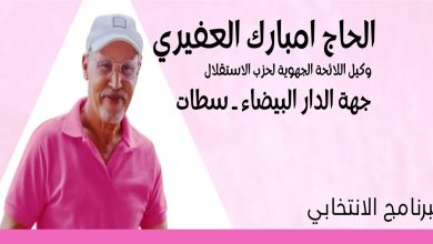 صورة امبارك عفيري .. جعل النظام الجهوي في قلب بناء النموذج التنموي الجديد “البرنامج الكامل”