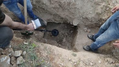 صورة خلى الفلوس حداه ومشى للغابة.. مدير بنك حصل كيقلب على الكنز