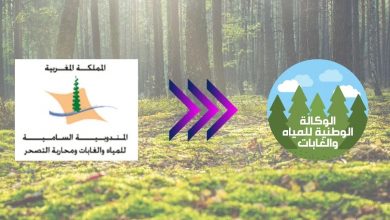 صورة الغموض يلف مشروع النظام الأساسي لموظفي الوكالة الوطنية للمياه والغابات
