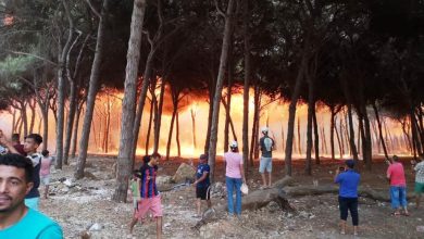صورة بالصور .. حرائق غابات العرائش والقصر الكبير تقطع حركة مرور الطريق السيار بين العرائش والقنيطرة
