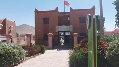 صورة نقابة تتضامن مع مدير الغرفة الفلاحية لجهة كلميم واد نون