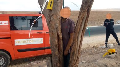 صورة بالصور .. العثور على جثة شخص معلقة بشجرة تستنفر السلطات
