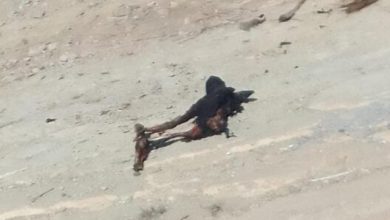 صورة ﻿بالصور…العثور على جثة متفحمة بضواحي اكادير والشرطة القضائية تعمق أبحاثها في الواقعة