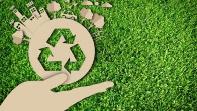 صورة الأبعاد الاجتماعية للتنمية المستدامة