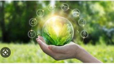 صورة التنمية المستدامة وإشكالية التعريف