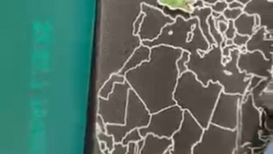 صورة مغاربة يوجهون دعوة لمقاطعة العلامة التجارية الفرنسية “لاكوست”