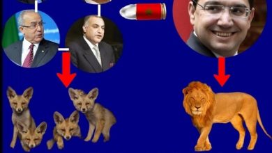 صورة تبون بن كذبون سخرية المواقع الاجتماعية