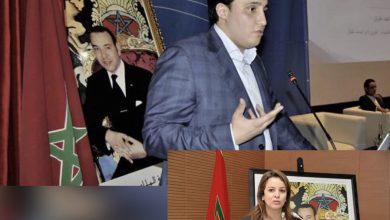 صورة البرلماني ياسين عوكاشا يقصف جبهة الوزيرة السابقة شرفات افيلال