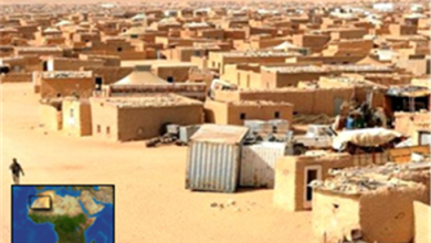 صورة بالفيديو: صحراويون بمخيمات الذل والعار يناشدون المغاربة