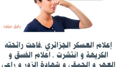 صورة مؤسسة اعلاميةجزائرية رسمية تنشر خطاب الكراهية والعنصرية وتقذف في شرف المغربيات وعرضهن….وتتحدث عن شيء لا وجود له إلا في مخيلاتهم
