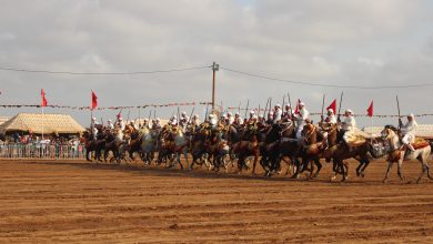 صورة انطلاق الدورة ال15 للمهرجان السياحي والثقافي بجماعة المنصورية يوم 2 ماي القادم