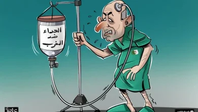 صورة هشام عبود يسخر من عبد المجيد تبون بعد تصريحه حول زعمه أن الدخل الفردي في الجزائر يتجاوز دخل الفرد في دول الجوار بأكثر من ضعفين