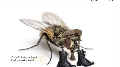 صورة بالڨيديو :تصريح  واعتراف و توبة وكشف لبروتوكول تجنيد الذباب الإلكتروني لصالح الجزائر