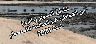 صورة شاطئ الصنوبر (دافيد) من الشواطئ غير الصالحة للاستحمام في 2023