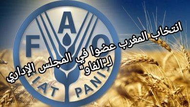 صورة انتخاب المغرب عضوا في المجلس الإداري لـمنظمة الأغذية والزراعة للأمم المتحدة