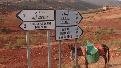 صورة المنطقة السياحية منابع عيون اوزود تعاني في صمت