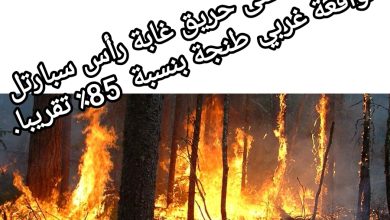 صورة السيطرة على حريق غابة رأس سبارتل الواقعة غربي طنجة بنسبة  85٪ تقريبا.