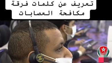صورة فيديو: فرقة مكافحة العصابات (BAG)