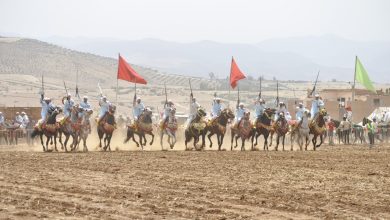 صورة صربة المقدم فريد الهايج تخلق الحدث