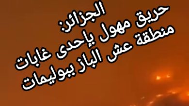 صورة الجزائر:حريق مهول بإحدى غابات منطقة عش الباز ببوليمات