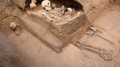 صورة إقليم بنسليمان… الدرك الملكي  بجماعة مليلة يفك لغز نبش القبور