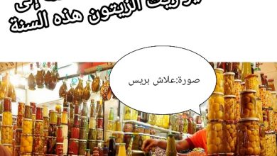 صورة فلاح يدعو المصالح المختصة إلى منع تصدير زيت الزيتون هذه السنة