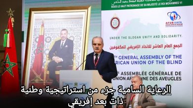 صورة الرعاية السامية جزء من استراتيجية وطنية ذات بعد إفريقي