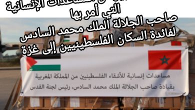 صورة إدخال جزء كبير من المساعدات الإنسانية التي أمر بها صاحب الجلالة الملك محمد السادس لفائدة السكان الفلسطينيين إلى غزة