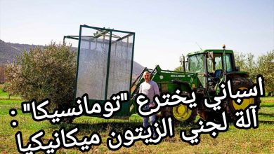 صورة اسباني يخترع “تومانسيكا” : آلة لجني الزيتون ميكانيكيا