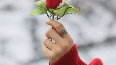 صورة ذكريات أليمة وأحلام محطمة