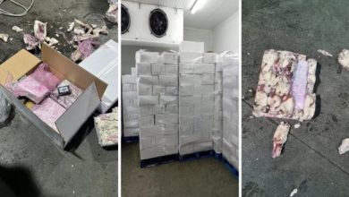 صورة أمن ميناء طنجة يضع يده على صيد ثمين داخل شاحنة لنقل السمك
