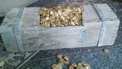 صورة آسفي… تفاصيل العثور على كنز ضواحي مدينة آسفي