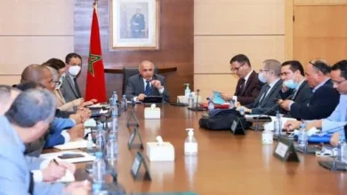 صورة مستجدات “النظام الأساسي” والوزير يؤكد: المصادقة الحكومية في هذا الموعد