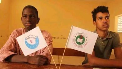 صورة “إطلاق برنامج حصص تقوية لتلاميذ السنوات الإشهادية في موريتانيا: رهان على تعزيز التعليم وتأسيس المدرسة الجمهورية”
