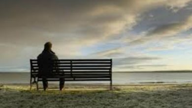 صورة **العزلة: بوابة لسعادة البال**
