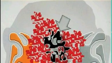 صورة ثقافة و فن :**”كان وأخواتها”: غلاف يحكي قصة**