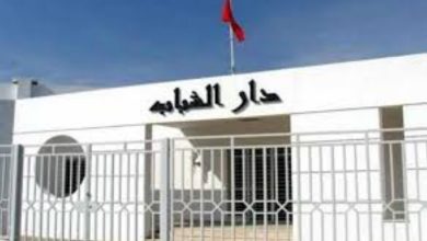 صورة ” مؤسسات دور الشباب ركيزة الحاضر وعماد المستقبل”