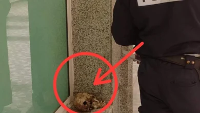 صورة طنجة… قبيل أذان المغرب..جمجمة بشرية مجهولة تستنفر المصالح الأمنية.