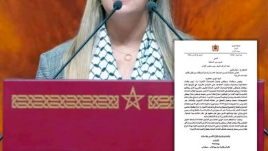 صورة **النائبة ريم شباط تناشد الحكومة بتحسين وضعية موظفي الجماعات الترابية**