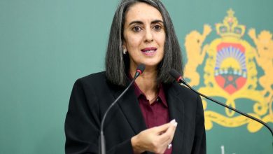 صورة السيدة نادية فتاح تستعرض الحصيلة الإيجابية للشراكة الاستراتيجية بين المغرب ومنظمة التعاون الاقتصادي والتنمية
