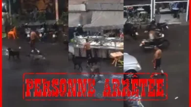 صورة الدار البيضاء… توقيف شخص في حالة غير طبيعية حرض كلاب شرسة على مواطنين و اعتدى عليهم