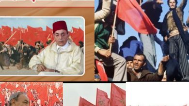 صورة المملكة المغربية تخلد الذكرى 49 للمسيرة الخضراء السلمية