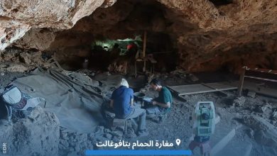 صورة المغرب.. اكتشاف أقدم استعمال طبي للأعشاب في العالم يعود تاريخه إلى 15 ألف سنة بمغارة الحمام بتافوغالت