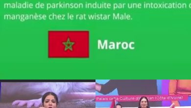صورة الباحثة المغربية بسلك الدكتورة بجامعة ابن طفيل هالة حريفي تفوز بالجائزة الأولى في مسابقة “أطروحتي في 180 ثانية” الدولية لسنة.2024 بأبيدجان.