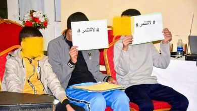 صورة انطلاق الموسم التنشيطي التربوي 2025.. تعزيز قيم التسامح ونبذ العنف داخل المؤسسات التربوية